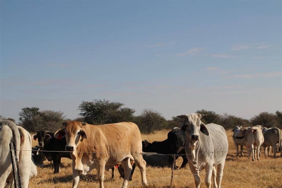 4 Bedroom Property for Sale in Vryburg Rural North West